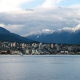 Bird, Mountains